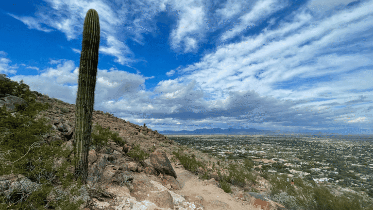 A tall saguaro cactus stands along a rocky trail on Cholla Trail in the Arizona desert, overlooking a sprawling cityscape under a dramatic sky filled with clouds. The foreground features desert shrubs and stones, while the distant horizon reveals a mountain range under a vivid blue and gray sky.