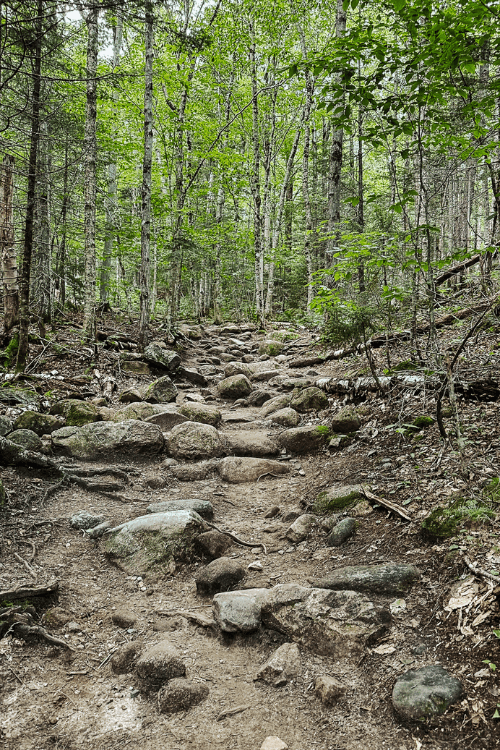 A picture taken of the rocky trail up to the Mount Willard viewpoint