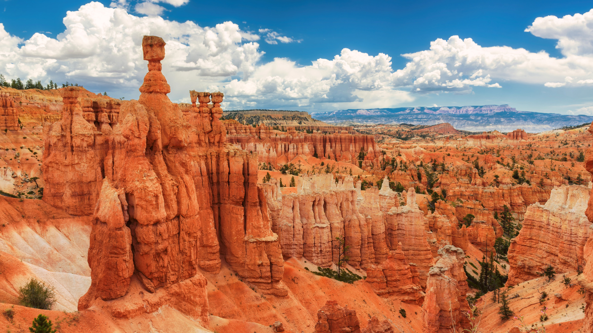 Scenic view of Bryce Canyon National Park with a maze of red hoodoos (tall, thin rock spires) under a bright blue sky with puffy white clouds.