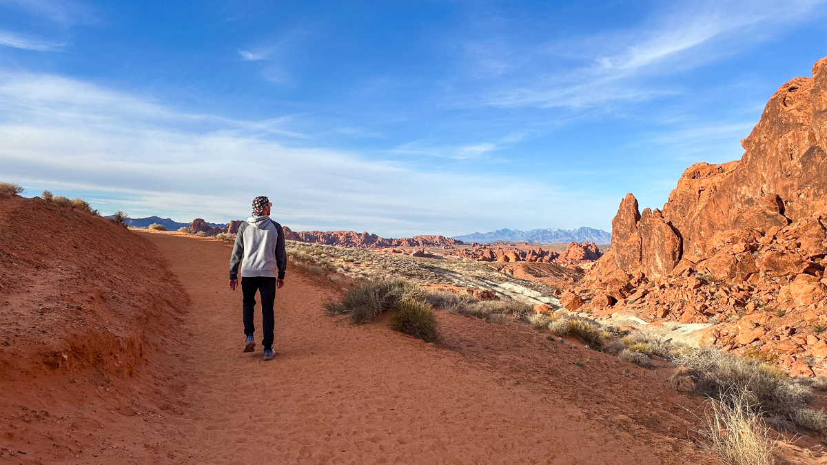A panoramic view of the Valley of Fire State Park with red sandstone formations contrasting against the blue sky.