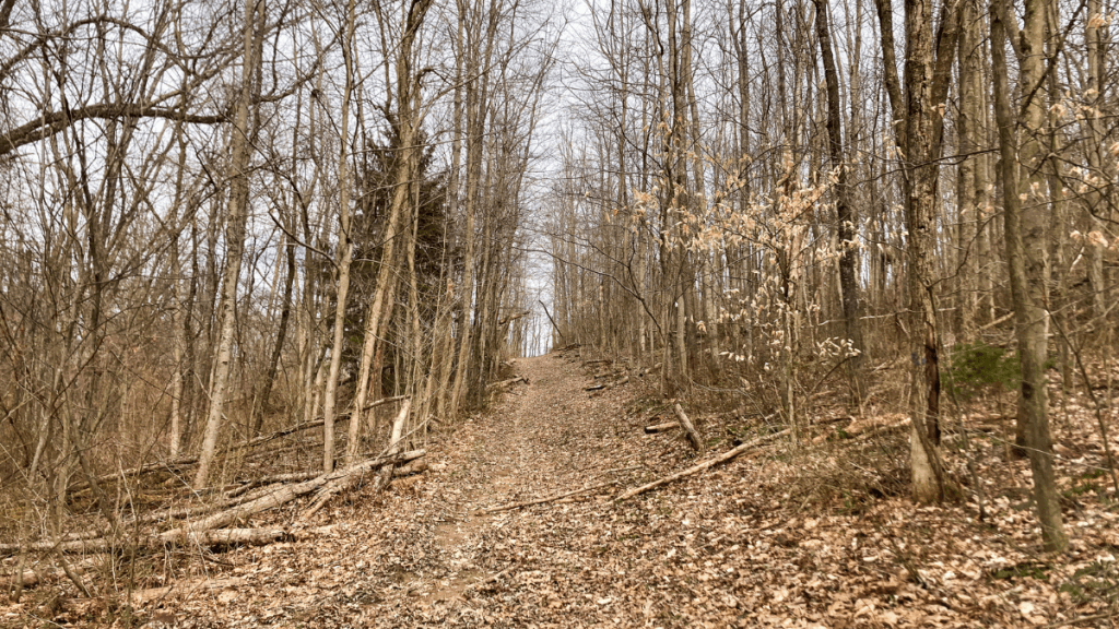 The Barkcamp Race [A Great Trail Race in East Ohio]