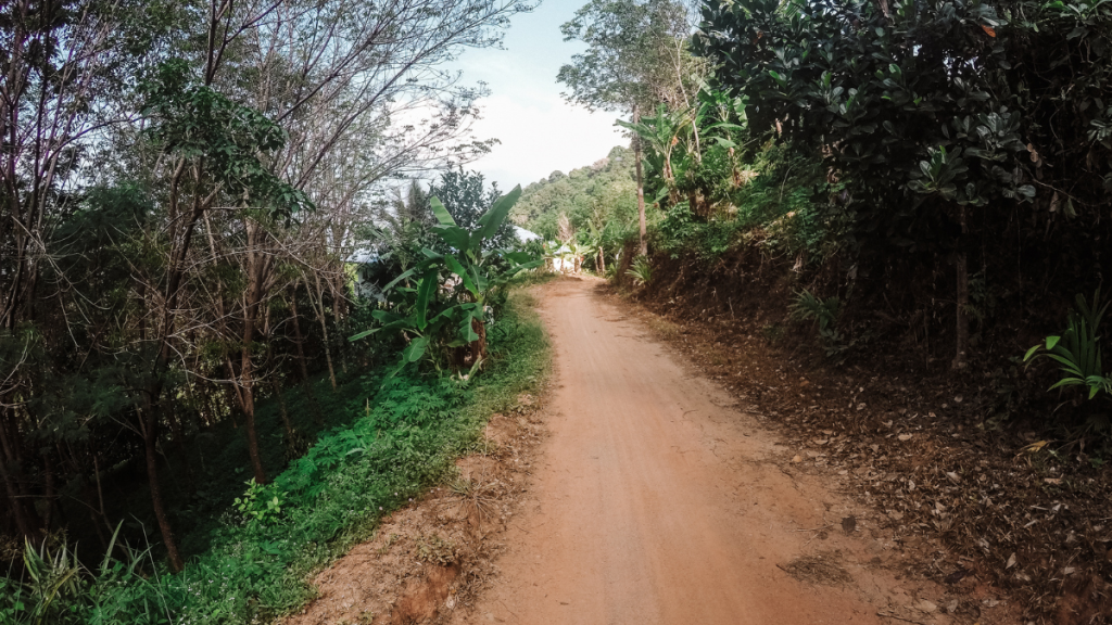 A dirt path winds through a lush, tropical landscape in the Nai Yang Hills of Phuket, Thailand. The trail is flanked by dense greenery, including banana plants and other tropical vegetation, under a clear, sunny sky. The serene and natural setting suggests a peaceful hike through the forest.