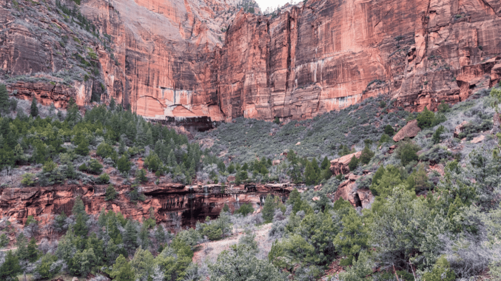 View of lush greenery and trees nestled at the base of towering red rock cliffs in Zion National Park, showcasing the dramatic landscape near the Emerald Pools.