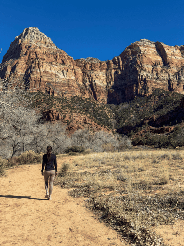 A person walks along a sandy trail towards the majestic, rugged red rock formations of Watchman Trail in Zion National Park, with a deep blue sky overhead.