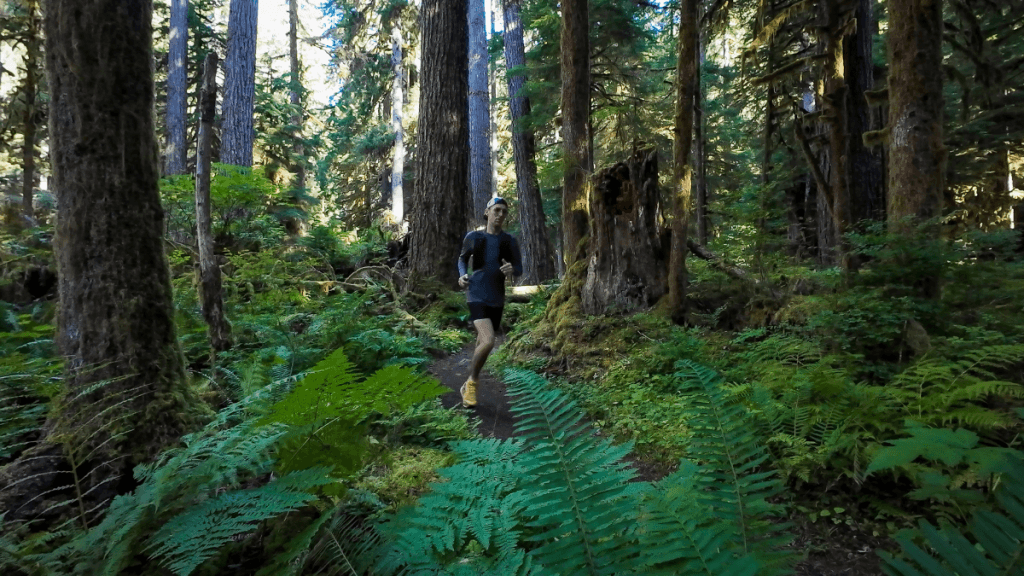 A runner wearing trail shoes and a backpack runs through a wooded area on the B-Loop Trail, with sunlight filtering through the trees and fallen logs scattered along the ground.