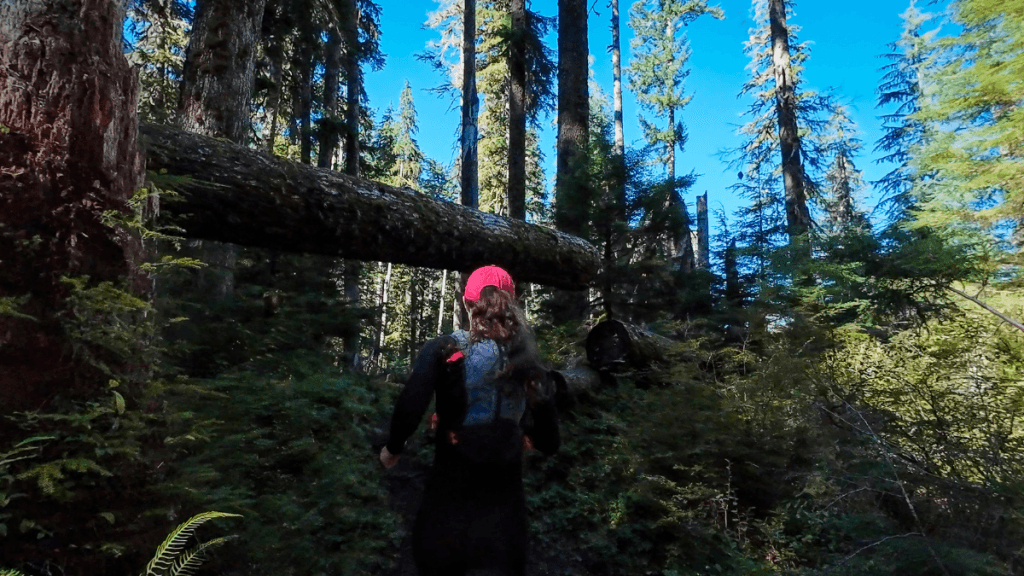 A woman in a red cap runs under a large fallen tree that arches over the trail. The forest is vibrant with greenery, tall trees, and sunlight breaking through the canopy.