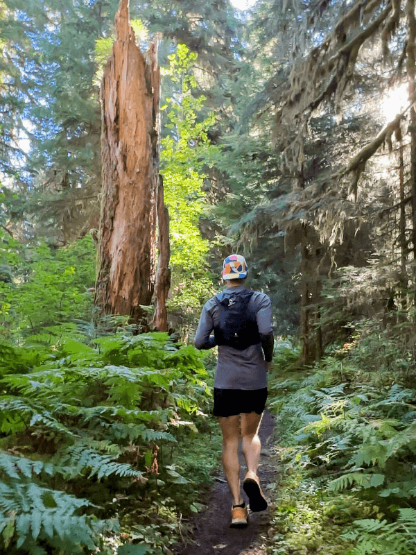 A runner wearing a colorful cap and backpack jogs along a narrow dirt trail in a vibrant forest filled with tall trees and dense undergrowth, including large green ferns and mossy stumps.
