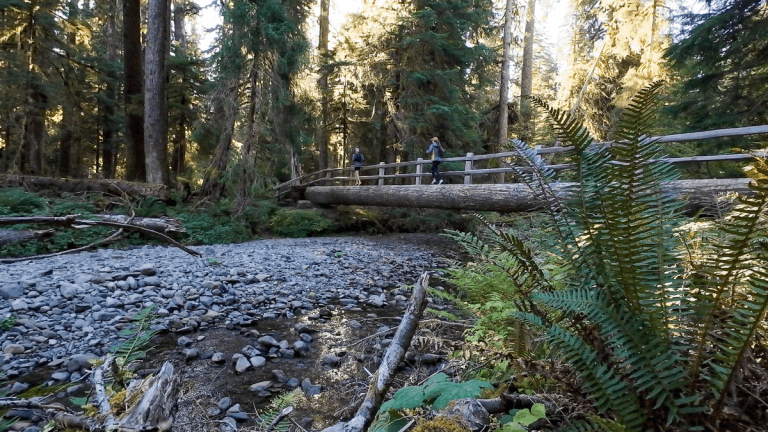 Sol Duc Falls Trail in Olympic National Park