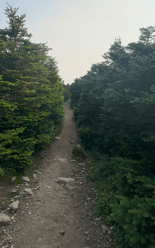 A rugged alpine trail on Mount Moosilauke winds through golden grass and rocky ground, with a cairn marking the path toward the summit.