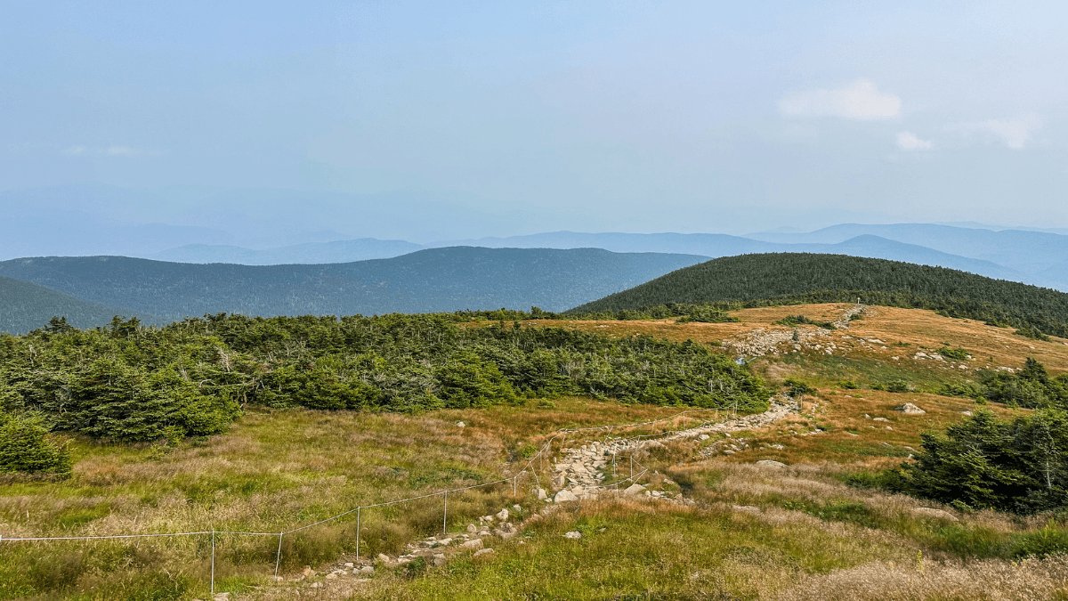Rocky hiking trail winding through grassy alpine fields and low evergreens on Mount Moosilauke, with hazy blue ridgelines stretching into the distance under a soft, cloud-dotted sky. The landscape captures the expansive views typical of the White Mountains in New Hampshire.