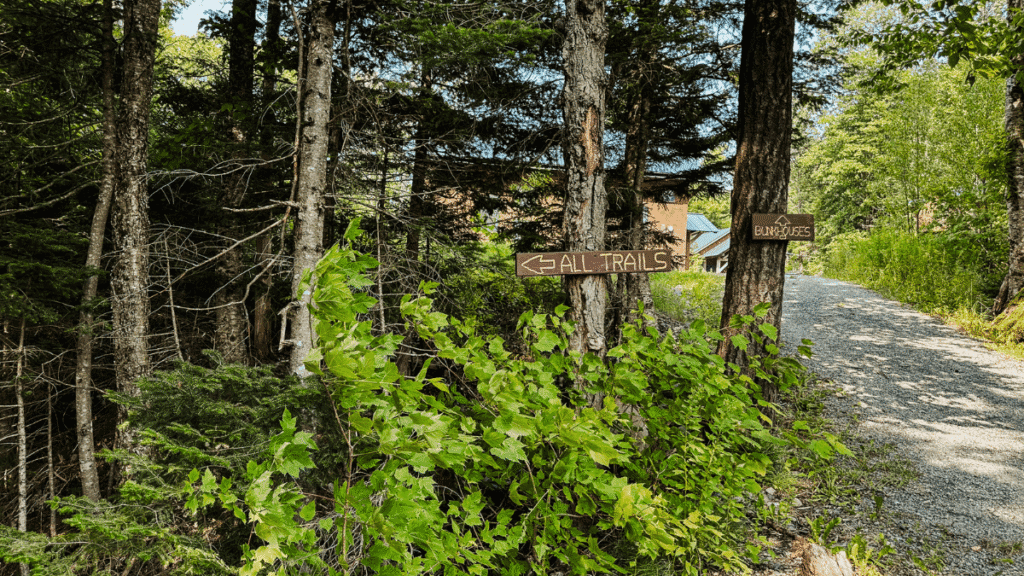 A fork in a wooded path on Mount Moosilauke marked by wooden signs pointing left to “All Trails” and right to “Bunkhouses”, surrounded by dense trees and gravel trail.