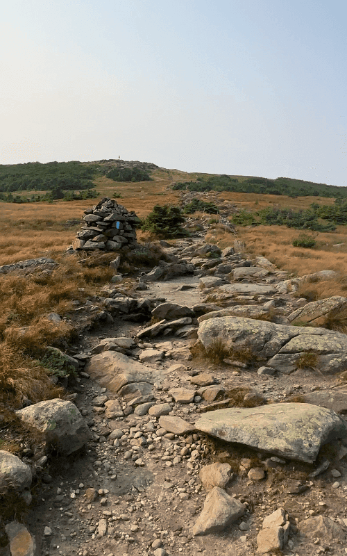 A rocky dirt trail lined with dense evergreen trees leads hikers through the lower elevations of Mount Moosilauke under a hazy sky.