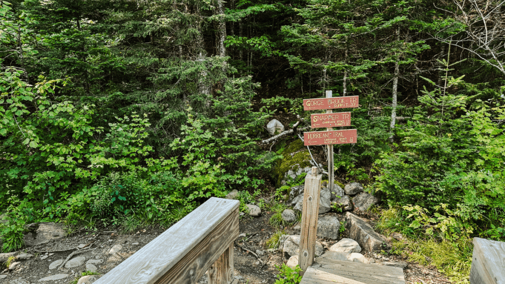 A rustic signpost on Mount Moosilauke's trail system shows directions for Gorge Brook Trail, Snapper Trail, and Hurricane Trail, nestled in lush forest greenery.