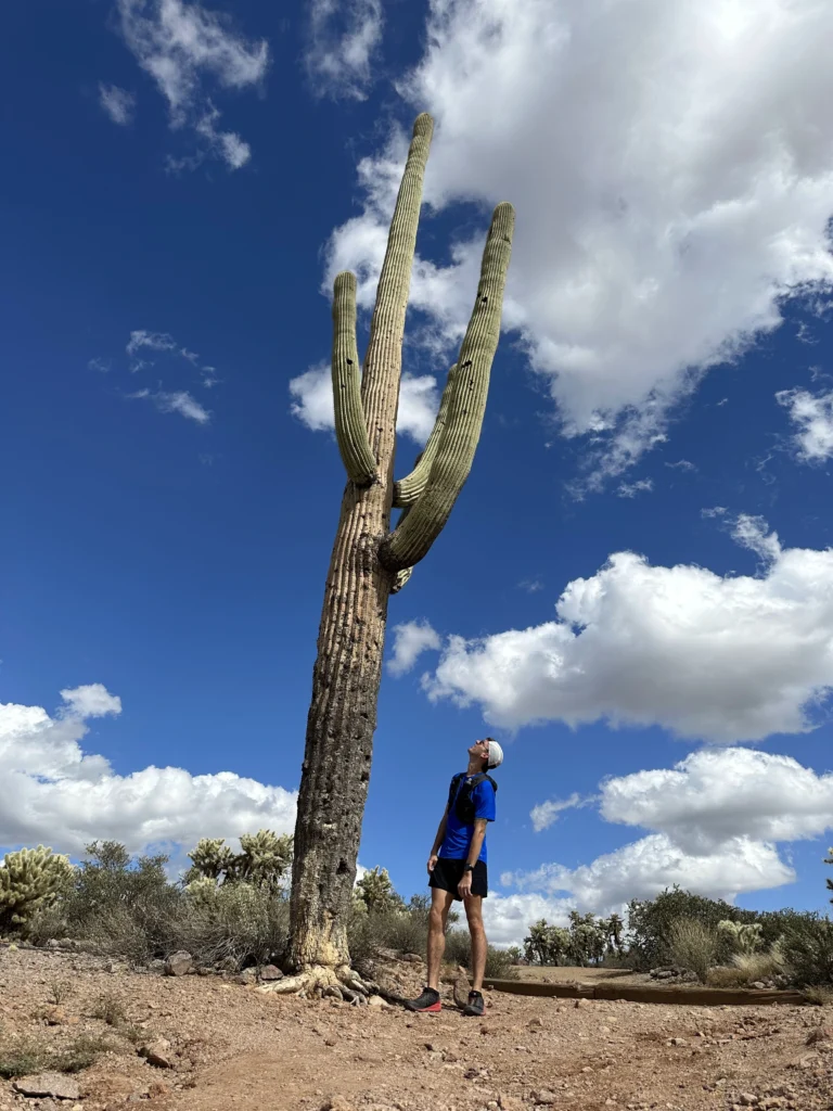 Runner standing beneath a towering saguaro cactus in Lost Dutchman State Park, Arizona