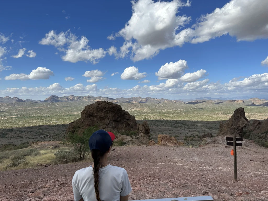 Overlook across the Sonoran Desert from Lost Dutchman State Park with the Superstition Mountains in the distance