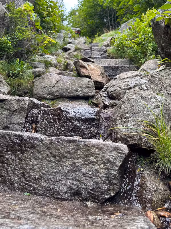 Wet rock steps and flowing water along a steep section of the Artists Bluff Trail in New Hampshire.