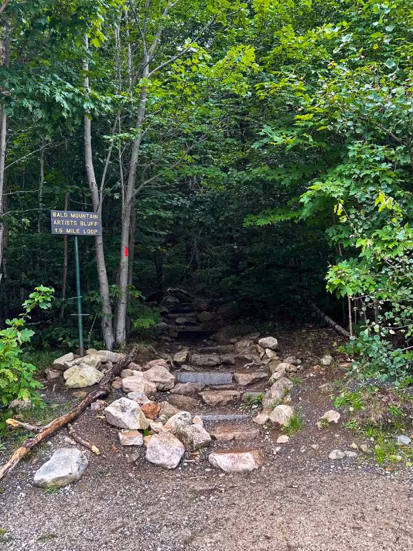 Bald Mountain and Artists Bluff Trail sign marking the start of the rocky 1.5-mile loop through the forest.