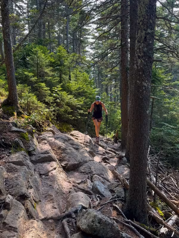 Kaitlyn using trekking poles to climb a rocky section of the Kearsarge North Trail through evergreen forest.