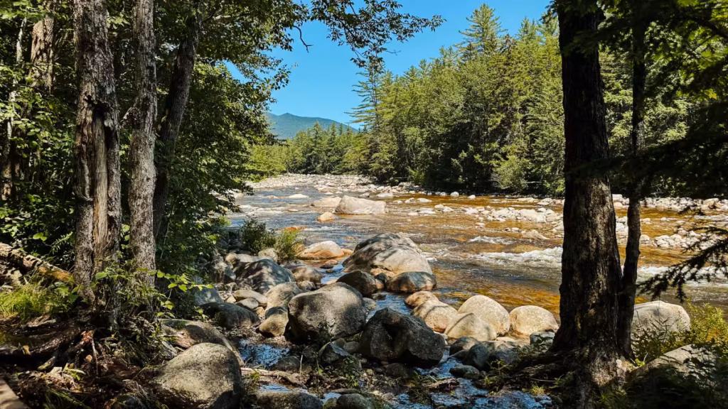 Boulder-filled Pemigewasset River surrounded by forest