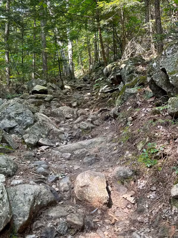 Uneven rocks and large mossy boulders along a wooded ascent on the Kearsarge North Trail.
