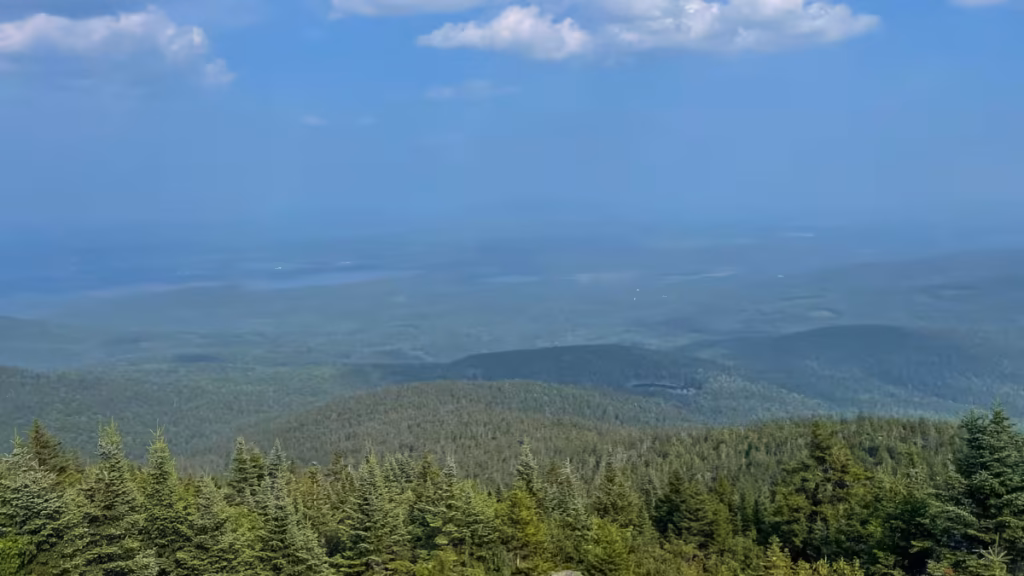 View from the Kearsarge North summit over evergreen treetops, rolling forested hills, and distant lakes in the haze.
