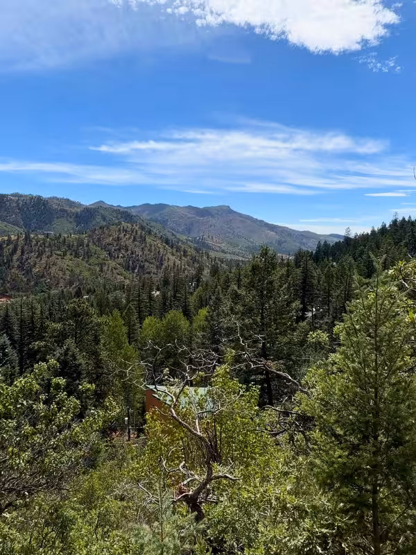 View from the Catamount Falls route across pine-covered hills and distant mountains under a blue sky.