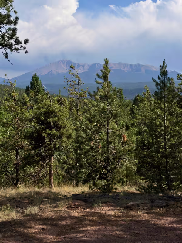 Pikes Peak rising above pine-covered hills, viewed from the Lovell Gulch Trail.
